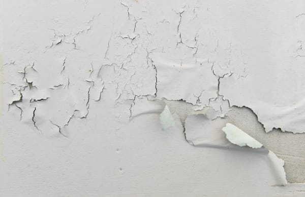 5 Waterproofing Paint Issues You Should Know Before Applying