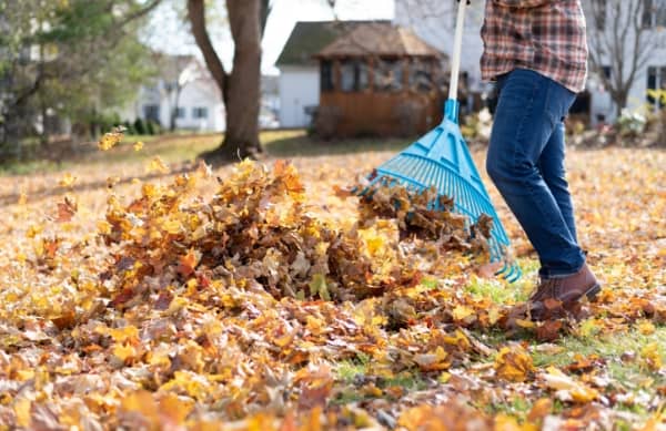 4 Autumn Landscaping Tips That Will Keep Your Property Pristine