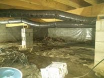 Basement Odors Mold Mildew Musty Smells Dirty Before