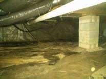 Basement Crawl Space Mold Mildew Odors Before