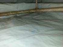 Clean Crawl Space Cleanspace Healthy After