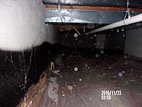 Dirty Musty Damp Crawl Space Before