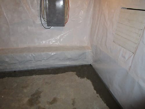 Clean Whitecap Basement Waterproofing After